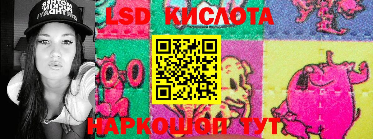 Димитровград  Марки NBOMe 1,5мг  где продают   Вход с VPN  Марки 25I-NBOMe 