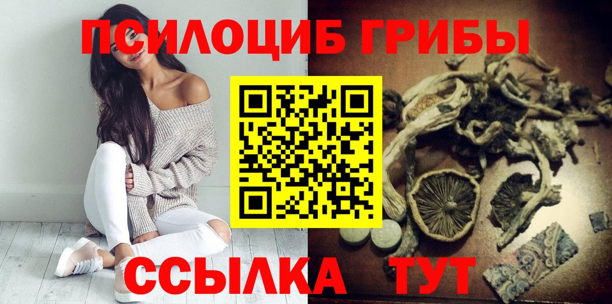 Псилоцибиновые грибы MAGIC MUSHROOMS  Вход с VPN  Димитровград 